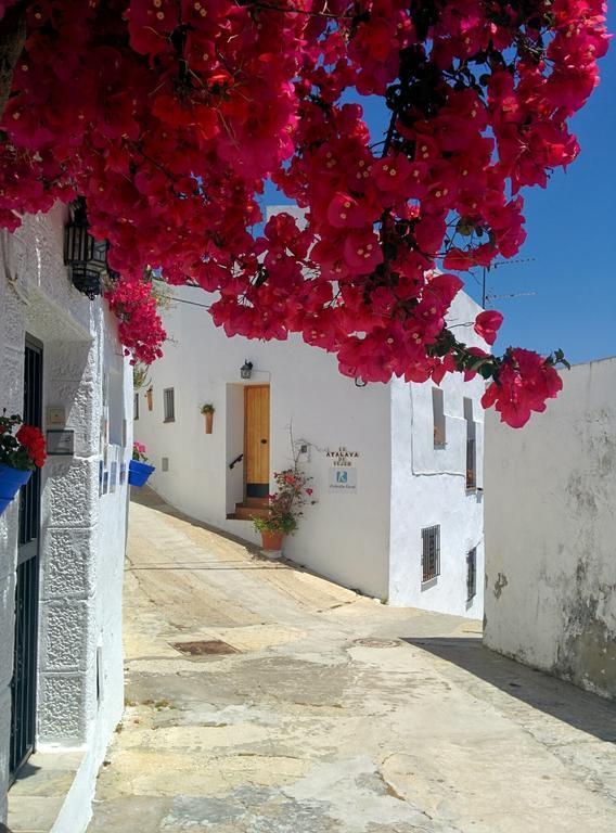 Appartement La Atalaya De Vejer Vejer de la Frontera