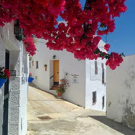 Holiday Home La Atalaya De Vejer Vejer de la Frontera Room photo